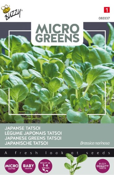 Microgreens Japanischer Tatsoi 470 Samen